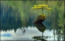 New South Wales 2  family law familiy court family law act divorce property settlement children child support